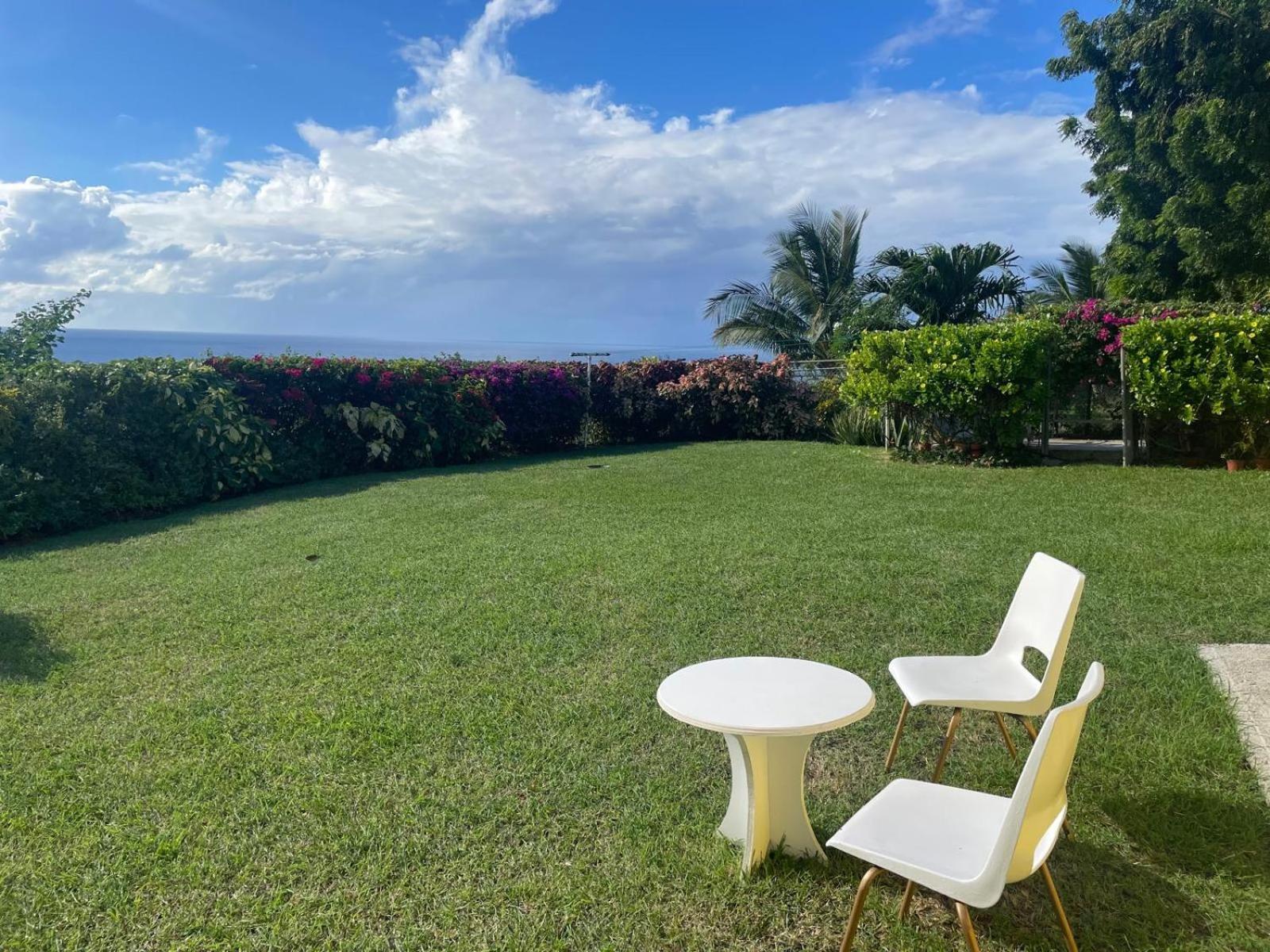 Spectacular Ocean View Retreat Lejlighed Saint James Eksteriør billede